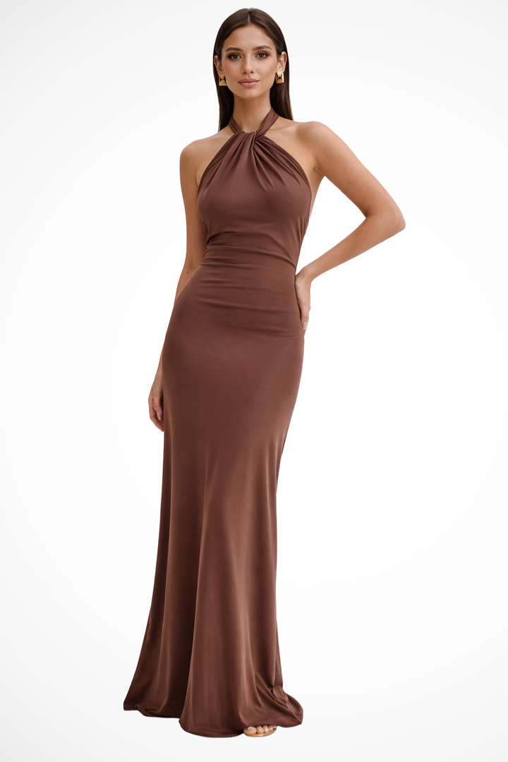 Robe Longue Femme Dos Nu à Col Halter et Silhouette Fluide