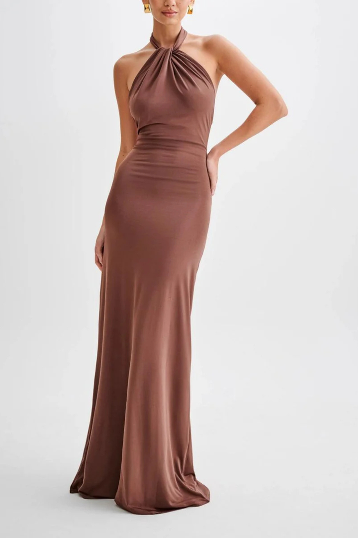 Robe Longue Femme Dos Nu à Col Halter et Silhouette Fluide